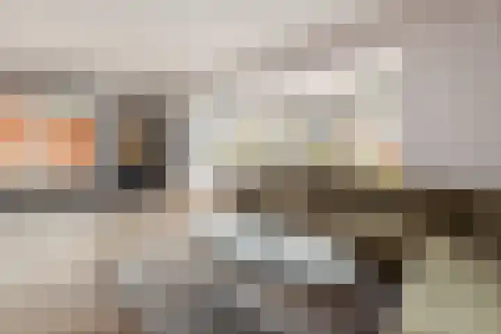 de Deel 58 Raalte thumbnail 5