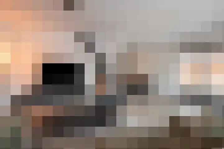de Deel 58 Raalte thumbnail 8