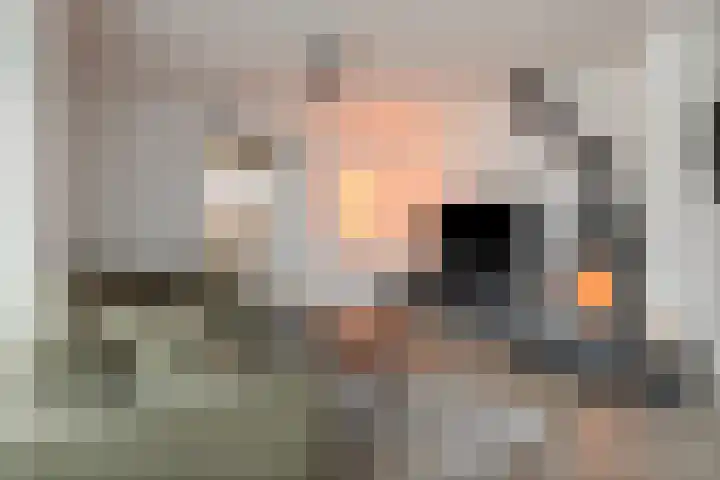 de Deel 58 Raalte thumbnail 9