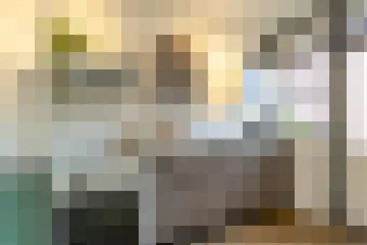 de Deel 6 Tolbert thumbnail 11