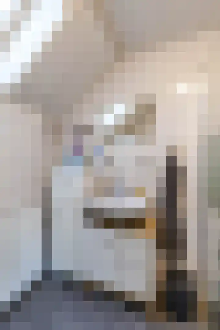 de Deel 6 Tolbert thumbnail 31