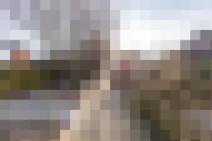 de Deel 6 Tolbert thumbnail 35