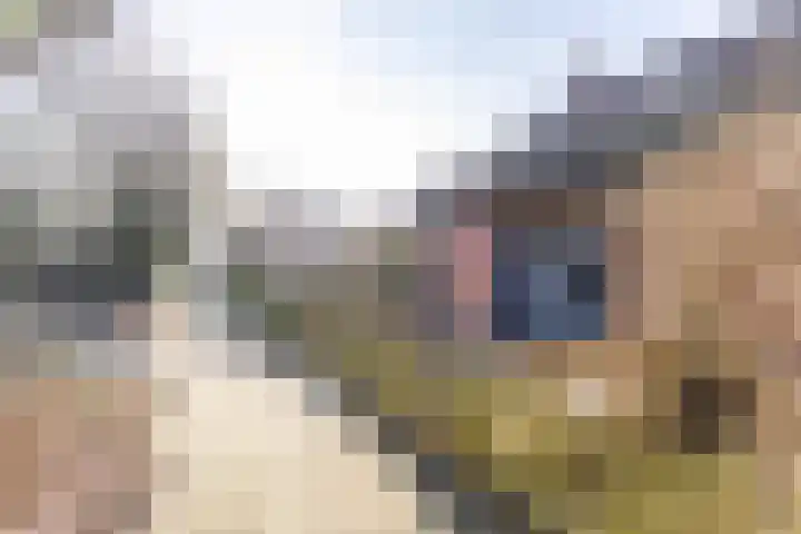 de Deel 6 Tolbert thumbnail 36