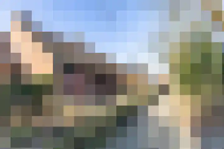 de Deel 6 Tolbert thumbnail 37