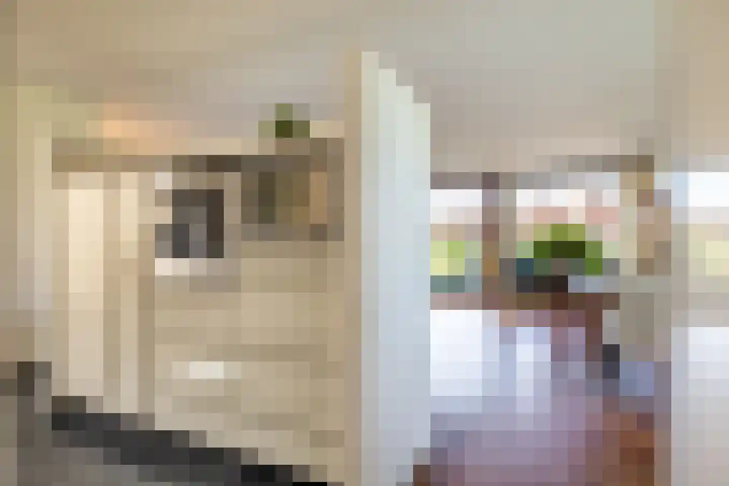 De Deelen 2 Leeuwarden thumbnail 21