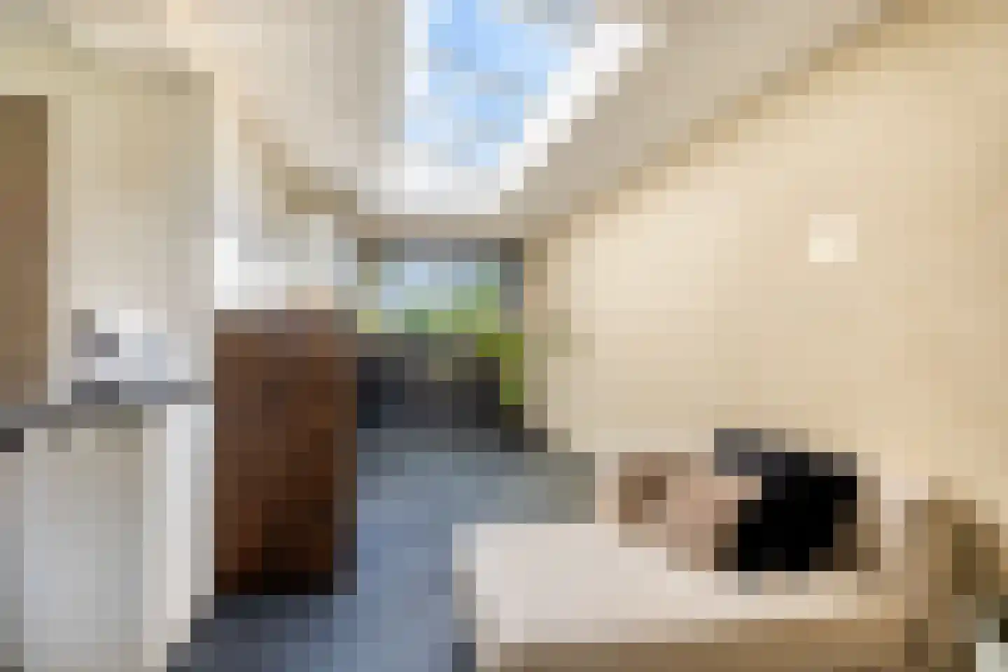 De Deelen 2 Leeuwarden thumbnail 25