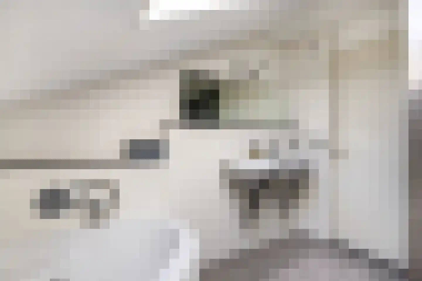 De Deelen 2 Leeuwarden thumbnail 47