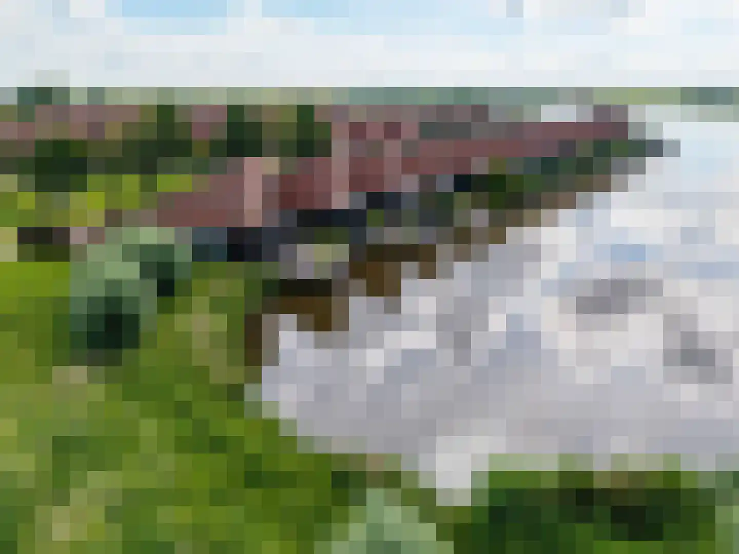 De Deelen 2 Leeuwarden thumbnail 64