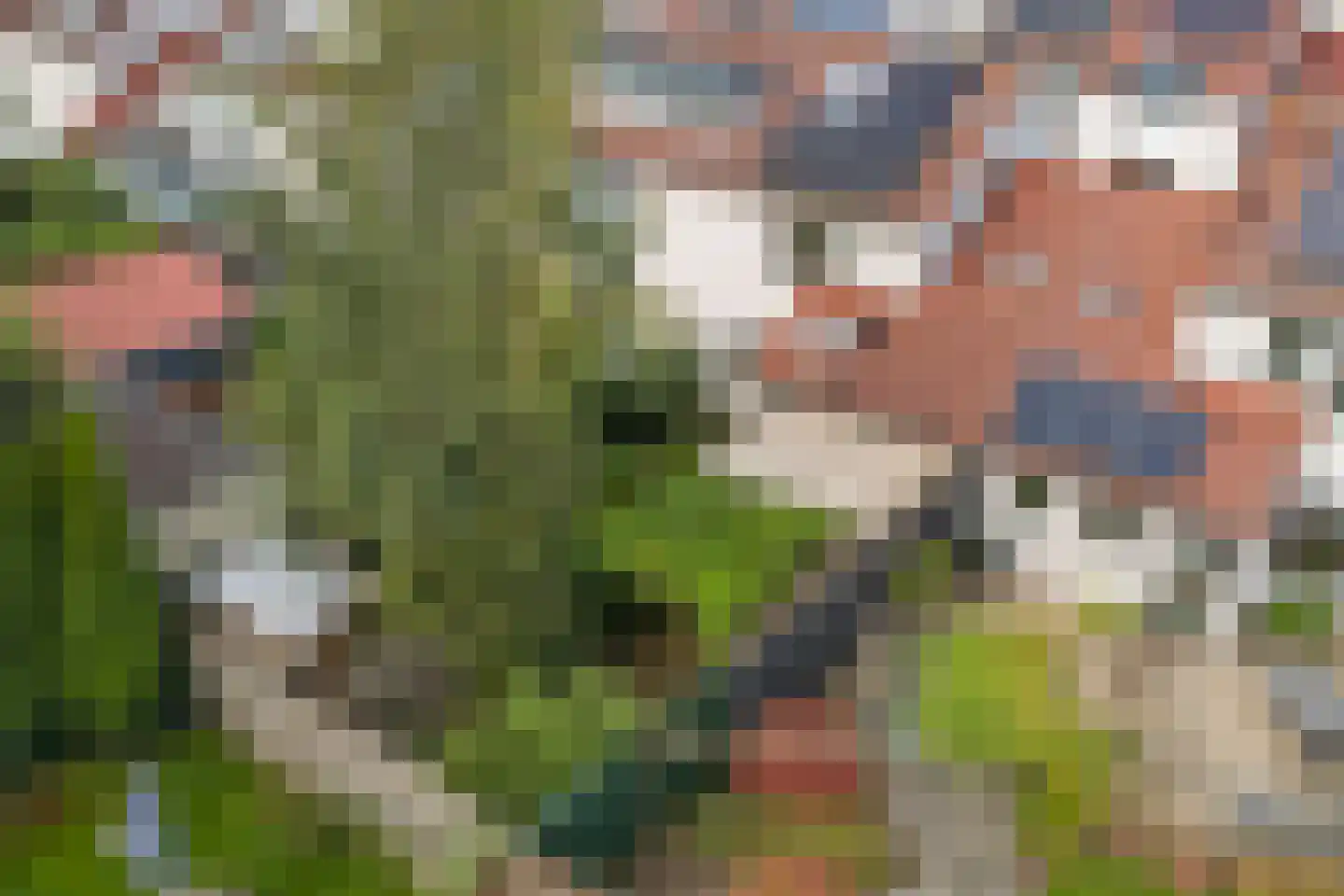De Deimt 18 Dronten thumbnail 33