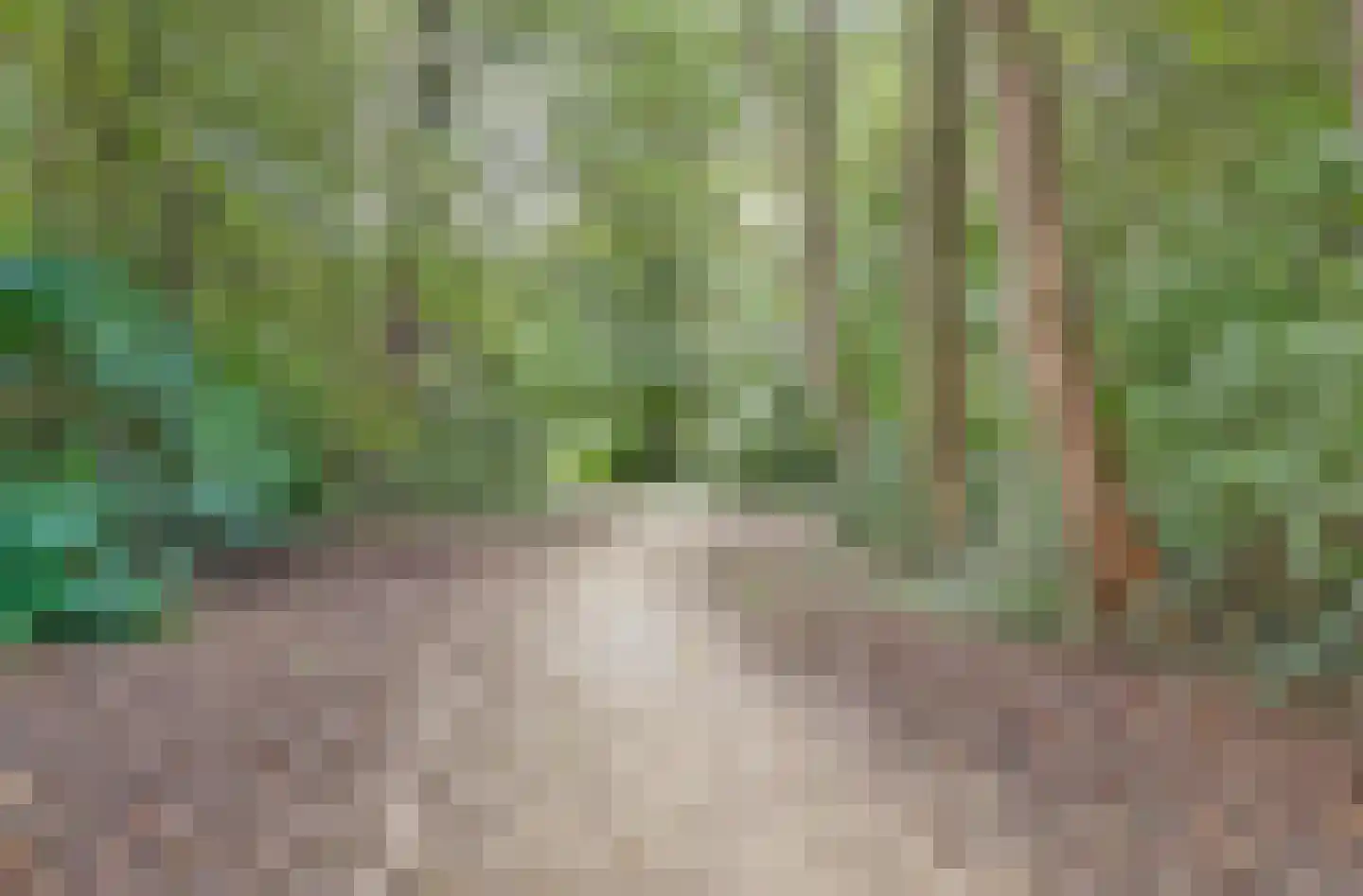 De Deimt 18 Dronten thumbnail 34
