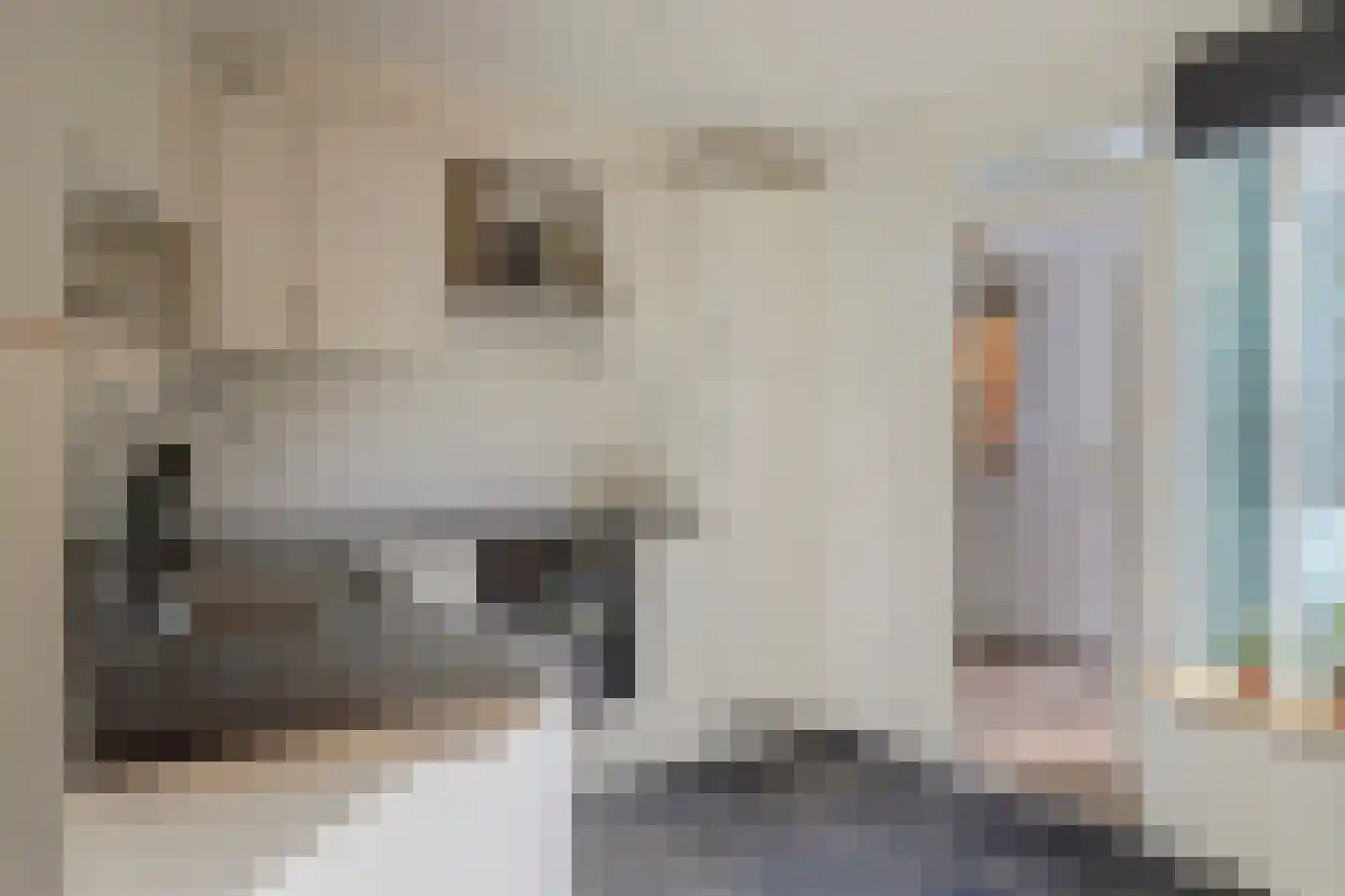 De Deimt 18 Dronten thumbnail 4