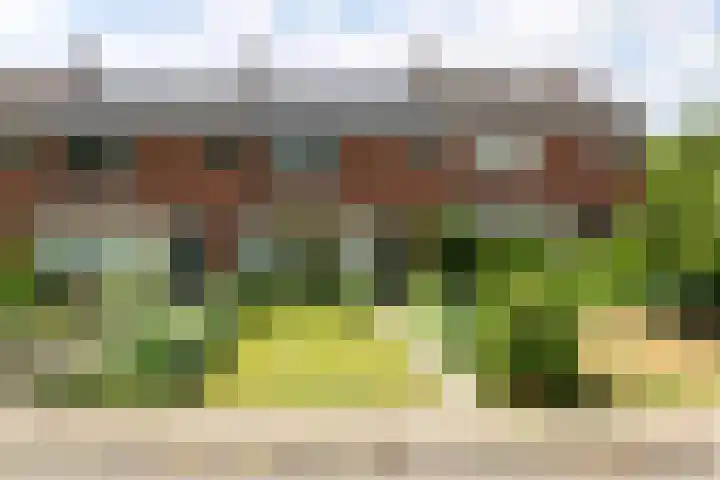De Del 64 Rheden foto 2
