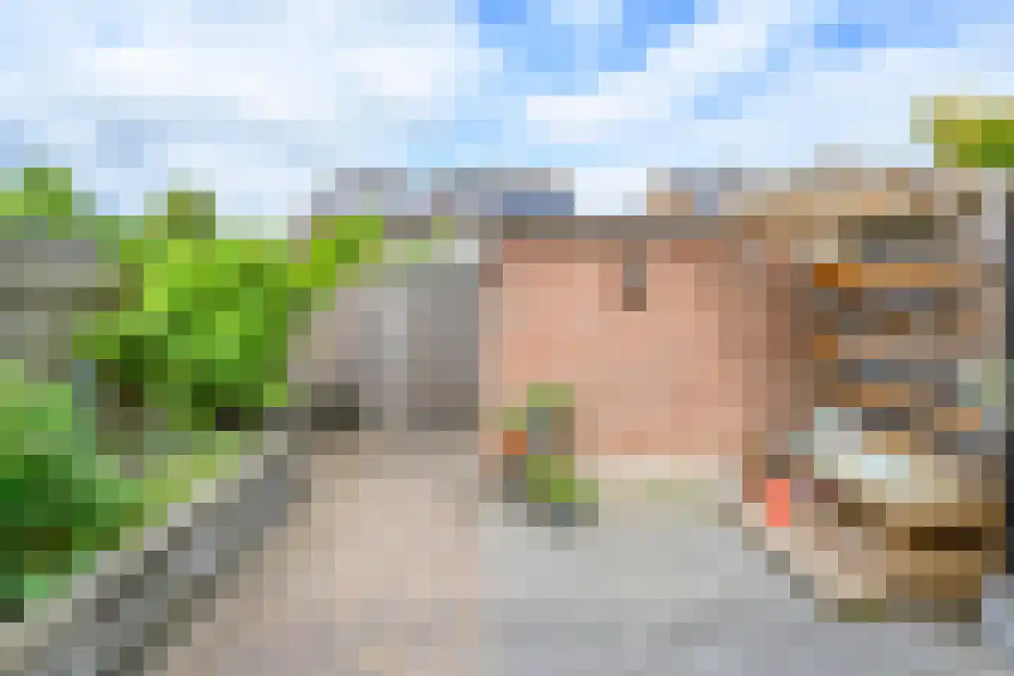 De Dèle 30 Brummen thumbnail 20