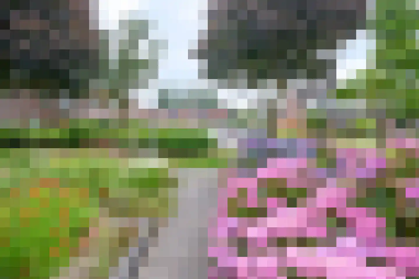 De Dèle 30 Brummen thumbnail 22