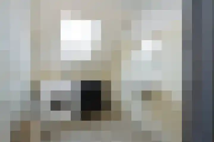 De Dèle 32 Brummen thumbnail 10