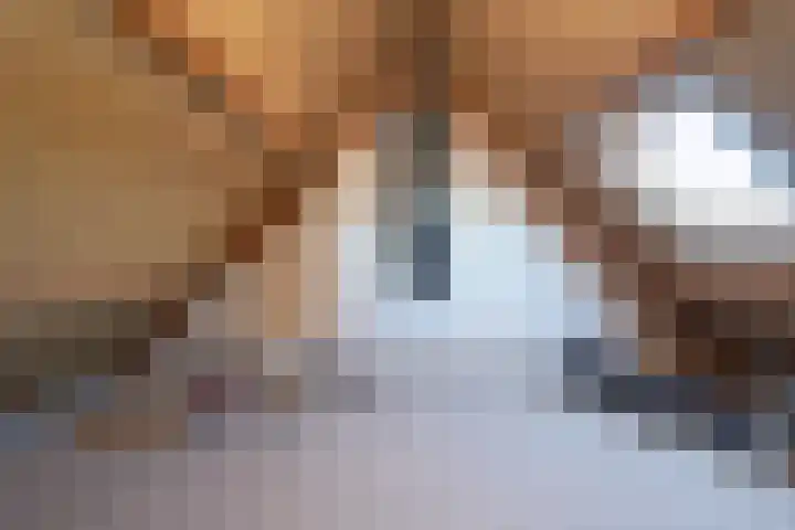De Dèle 32 Brummen thumbnail 12