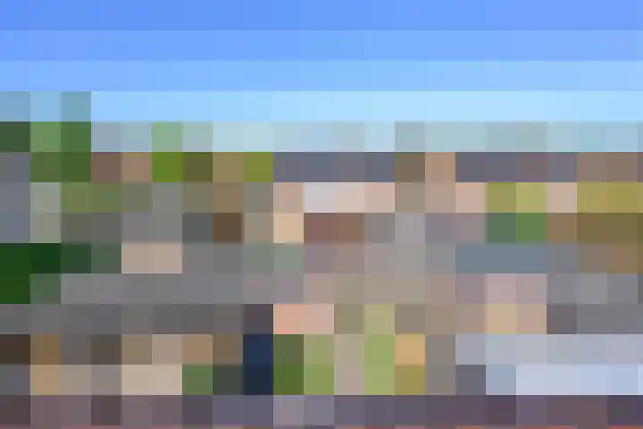 De Dèle 32 Brummen thumbnail 14