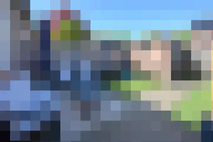 De Dèle 32 Brummen thumbnail 18
