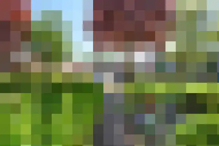 De Dèle 32 Brummen thumbnail 19