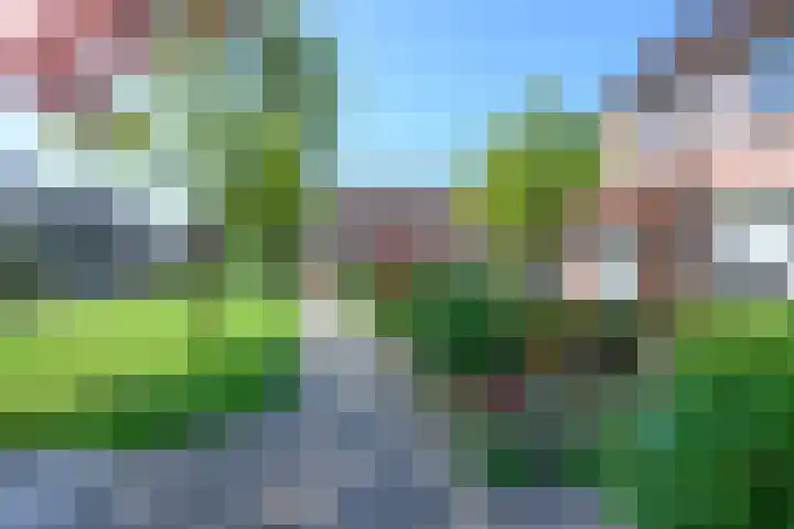 De Dèle 32 Brummen thumbnail 21