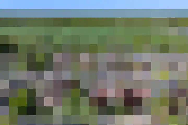 De Dèle 32 Brummen thumbnail 22