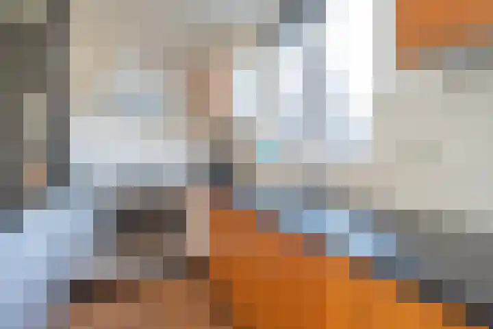 De Dèle 32 Brummen thumbnail 6