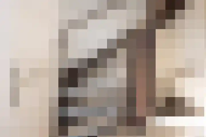 De Dèle 32 Brummen thumbnail 7