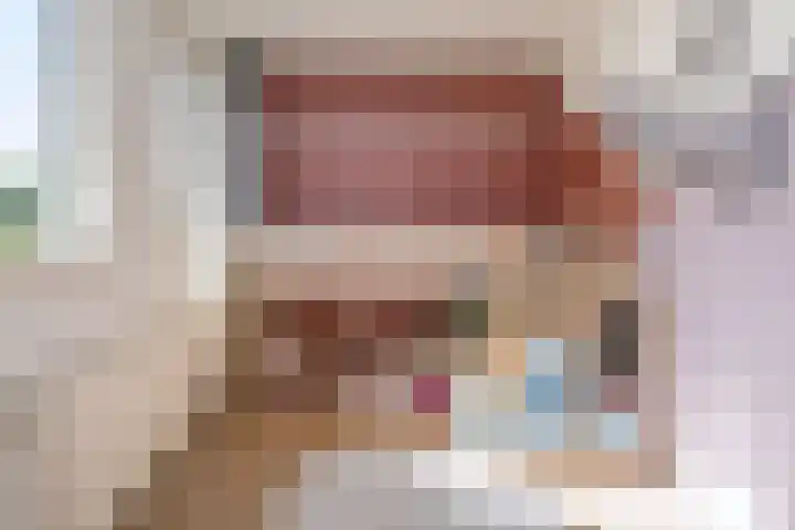 De Dèle 32 Brummen thumbnail 8