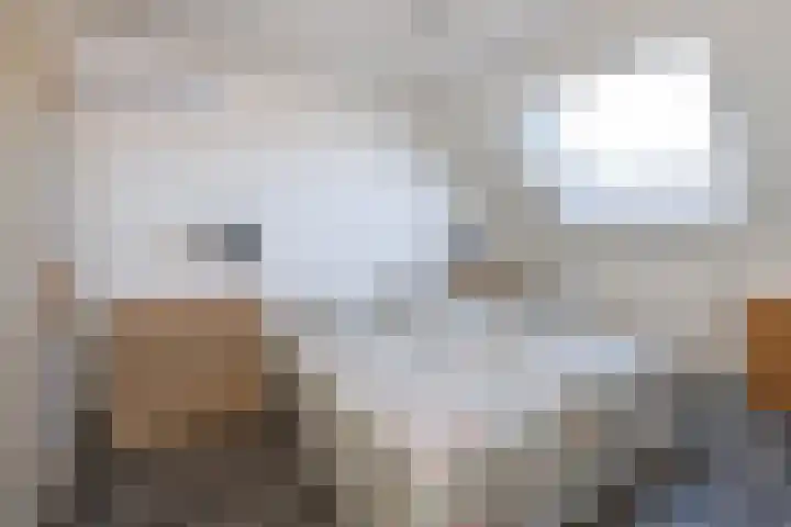 De Dèle 32 Brummen thumbnail 9