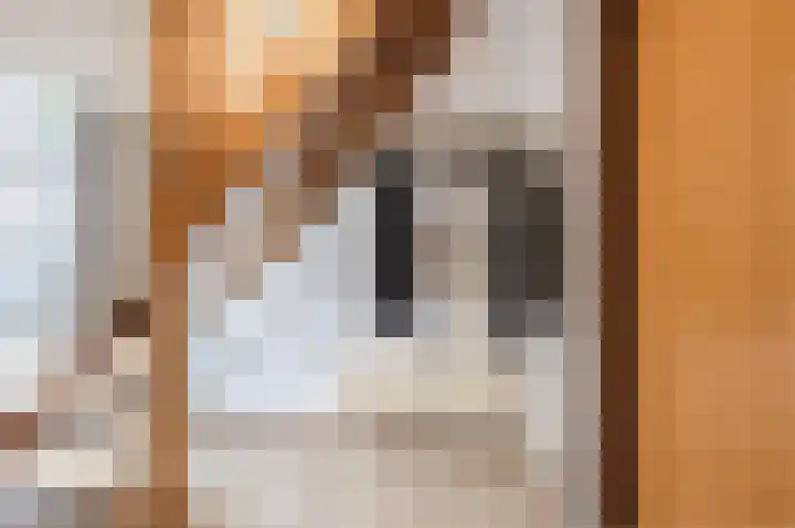 De Delle 28 Almelo thumbnail 28