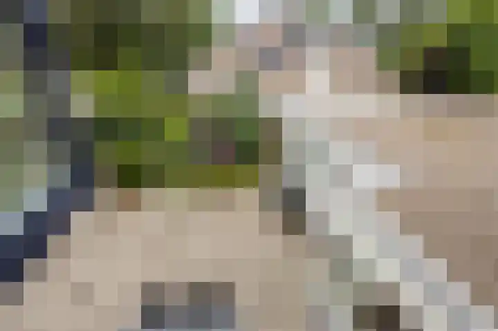 De Delle 28 Almelo thumbnail 47