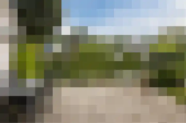 De Delle 28 Almelo thumbnail 48