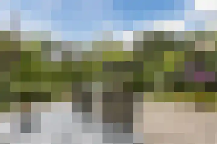 De Delle 28 Almelo thumbnail 49