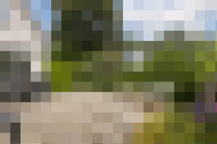 De Delle 28 Almelo thumbnail 50