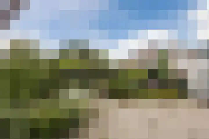De Delle 28 Almelo thumbnail 52