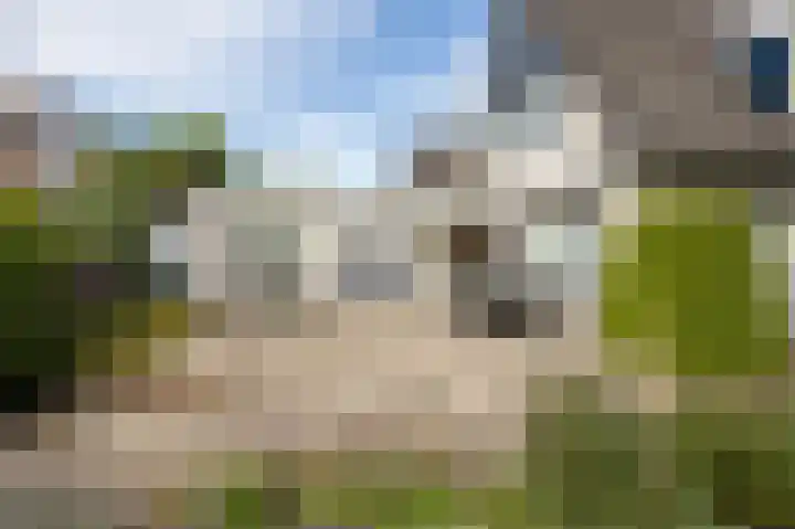De Delle 28 Almelo thumbnail 53