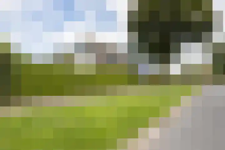 De Delle 28 Almelo thumbnail 54