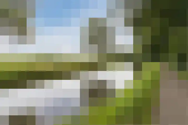 De Delle 28 Almelo thumbnail 56