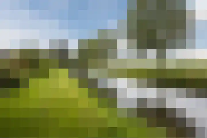 De Delle 28 Almelo thumbnail 57