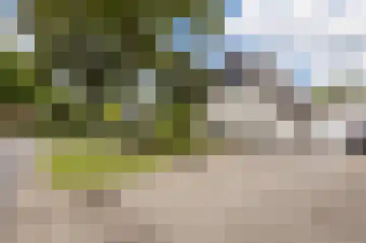 De Delle 28 Almelo thumbnail 6