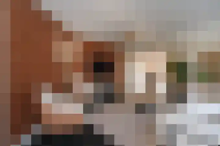 De Delle 53 Almelo thumbnail 10