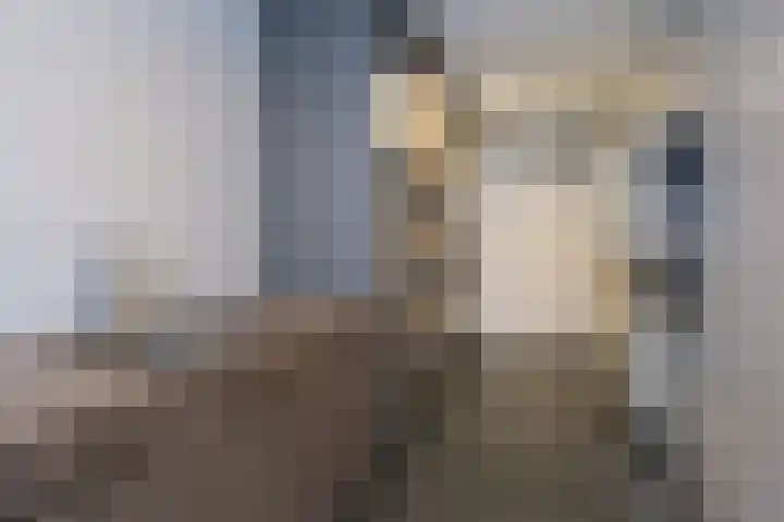 De Delle 53 Almelo thumbnail 24