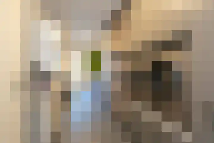 De Delle 53 Almelo thumbnail 25