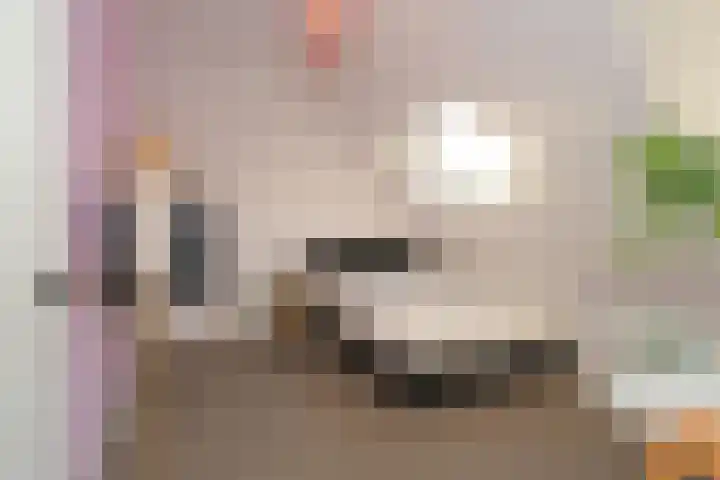 De Delle 53 Almelo thumbnail 28