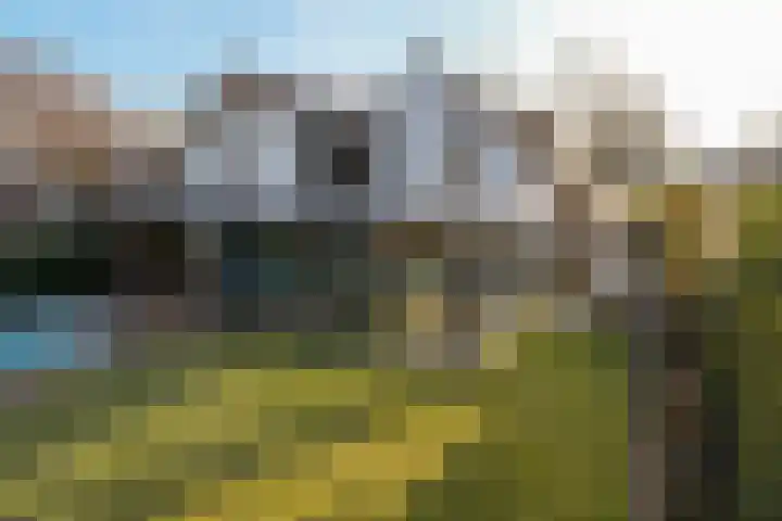 De Delle 53 Almelo foto 3