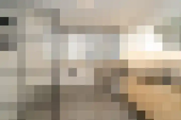 De Delle 53 Almelo thumbnail 30