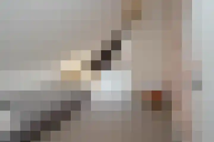 De Delle 53 Almelo thumbnail 33