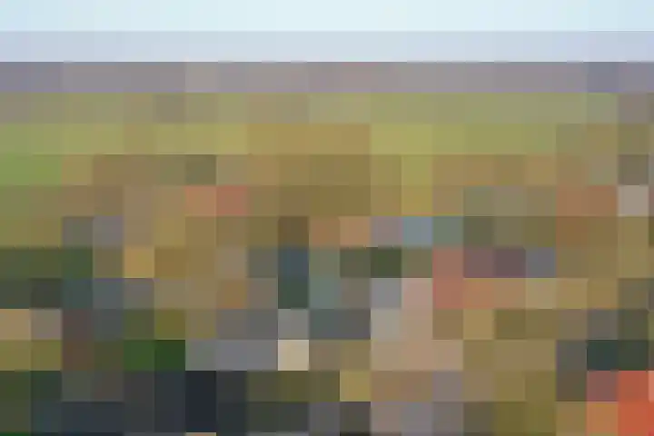 De Delle 53 Almelo thumbnail 4