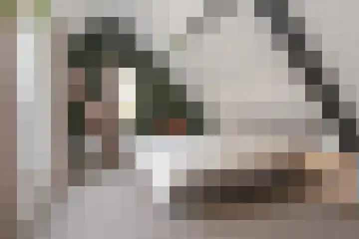 De Delle 53 Almelo thumbnail 41