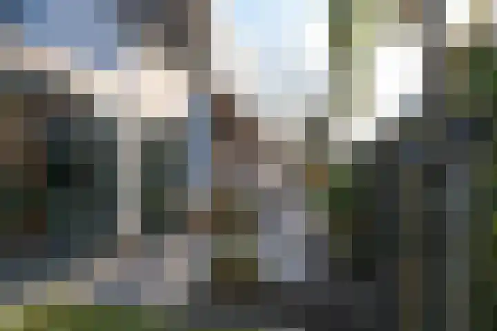 De Delle 53 Almelo thumbnail 44